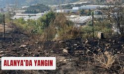 Alanya’da yangın