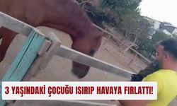 3 yaşındaki çocuğu ısırıp havaya fırlattı!