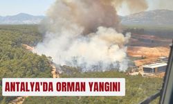 Antalya'da orman yangını