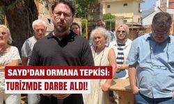 SAYD’dan Ormana tepkisi: Turizmde darbe aldı!