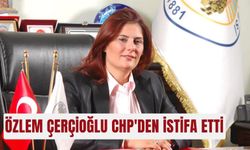 Özlem Çerçioğlu CHP'den istifa etti