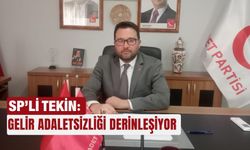 SP’li Tekin: Gelir adaletsizliği derinleşiyor