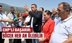 CHP'li Başarır: Böcek her an ölebilir