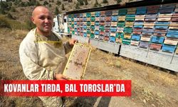 Kovanlar tırda, bal Toroslar’da