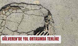 Gülveren’de yol ortasında tehlike