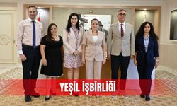 Yeşil işbirliği