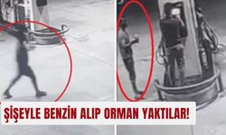 Şişeyle benzin alıp orman yaktılar!