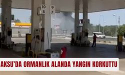 Aksu’da ormanlık alanda yangın korkuttu