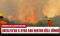 Ormanlar alarm veriyor: Antalya’da 6 Ayda 540 hektar küle döndü