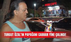 Turgut Özal’ın papağanı Cabbar yine çalındı!