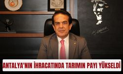 Antalya'nın ihracatında tarımın payı yükseldi