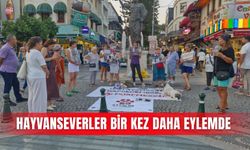 Hayvanseverler bir kez daha eylemde