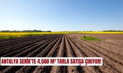 Antalya Serik’te 4.500 m² tarla satışa çıkıyor!