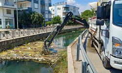 Manavgat'ta kanal temizliği