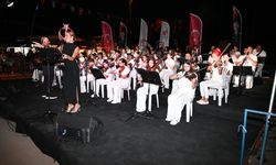 Sokak hayvanları yararına ikinci konser