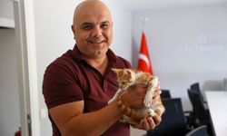 Kurtarılan kediye ‘Boğaç’ ismi verildi