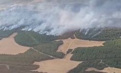 Çanakkale’de devam eden orman yangınına havadan ve karadan yoğun müdahale devam ediyor