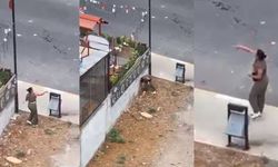 Bir kadın yoldan geçen araçlara taşla saldırdı