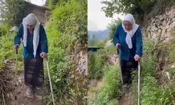Yolu olmayınca 400 metre patika yoldan koltuk değnekleri ile yürüyor