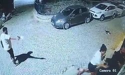 Urla’da 2 kişinin öldüğü eski sevgili dehşetinin görüntüleri ortaya çıktı