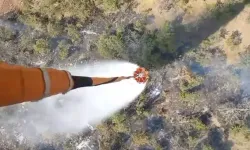 Şırnak'ta orman yangını