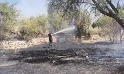 Mardin'in 2 ilçesinde örtü yangını