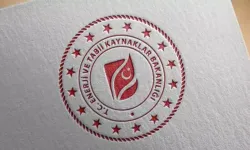 YEKA GES-2025 ve RES-2025 yarışma başvuru tarihleri açıklandı
