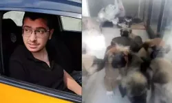 Sahiplendiği köpekleri öldürmekten yargılanan doktorun tahliye talebi reddedildi