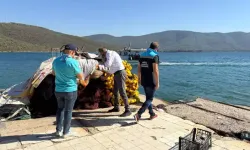 Kaçak avcılığa geçit yok