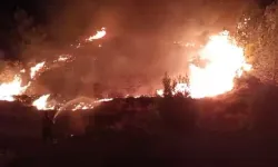 Düğünde atılan havai fişekler yangın çıkardı