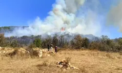 Burdur'da orman yangını