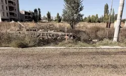 Evinin önündeki ot yangınında yaşamını yitirdi