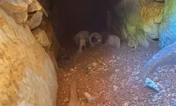 Muğla'da su deposu kazısında 6 tarihi mezar bulundu
