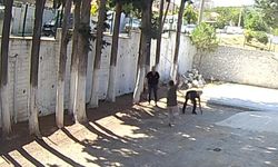 Dayakçı başkan hakkında üç suçtan savcılığa şikayette bulunuldu