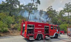 Kemer'de ormanlık alan yangını kontrol altında