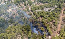 Kemer'de çıkan yangın kontrol altında