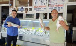 Balıkçılar "Vira bismillah" dedi