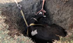 AFAD'dan kurtarma operasyonu
