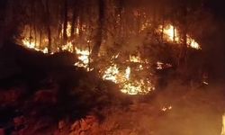Gazipaşa'da ormanlık alanda yangın