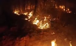 Gazipaşa'da çıkan yangın büyümeden söndürüldü