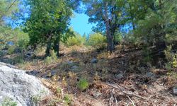 Gazipaşa'da kamyonet uçurumdan yuvarlandı