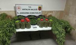 Jandarma göz açtırmıyor