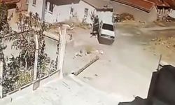 Seyir halindeki araçta yılan paniği kamerada: Sürücü araç durmadan indi