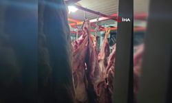 Bir ahırın içinde 1,5 ton mühürsüz ve uygunsuz et tespit edildi
