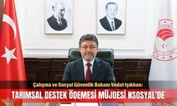 Tarımsal destek ödemesi müjdesi NSosyal'de