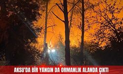 Aksu'da bir yangın da ormanlık alanda çıktı