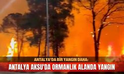 Antalya’da bir yangın daha: Aksu'da ormanlık alan alevlere teslim