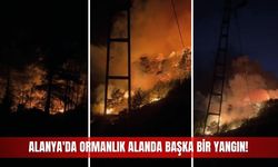 Alanya'da ormanlık alanda başka bir yangın!