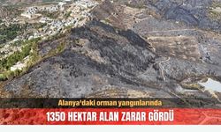 Alanya'daki orman yangınlarında 1350 hektar alan zarar gördü