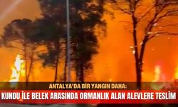 Antalya’da bir yangın daha: Kundu ile Belek arasında ormanlık alan alevlere teslim